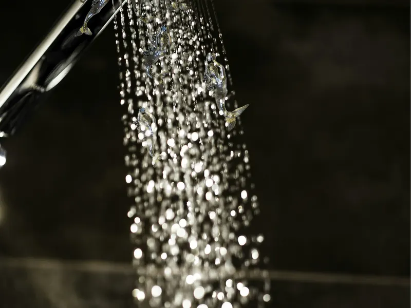 Water streaming from a rain shower head against a dark tiled wall